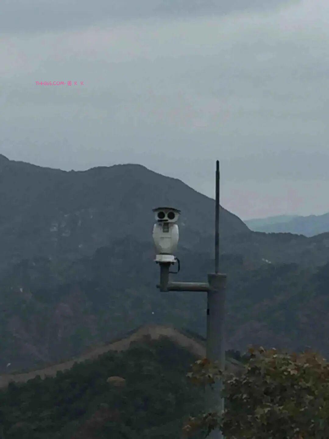 巧合界的天花板:20张照片太离谱,现实都编不出这样的剧本插图13 巧合界的天花板:20张照片太离谱,现实都编不出这样的剧本插图13