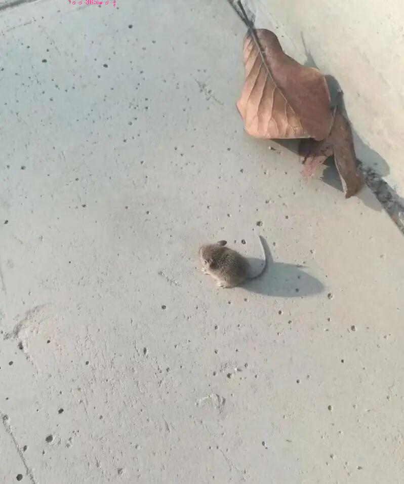 毫不留情的现实:21组对比照,看完你就懂什么叫“差距”插图17 毫不留情的现实:21组对比照,看完你就懂什么叫“差距”插图17