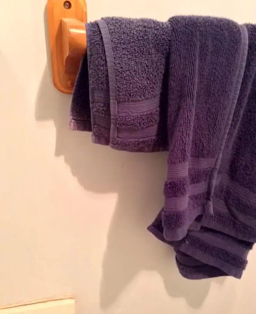 20张巧得离谱的照片:生活这导演,真是会安排插图7 20张巧得离谱的照片:生活这导演,真是会安排插图7