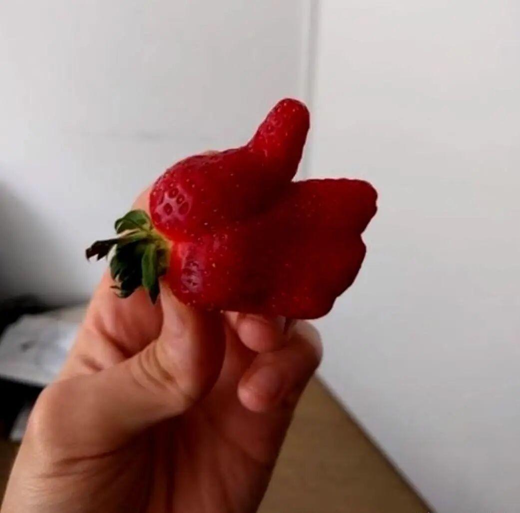 20张巧得离谱的照片:生活这导演,真是会安排插图2 20张巧得离谱的照片:生活这导演,真是会安排插图2