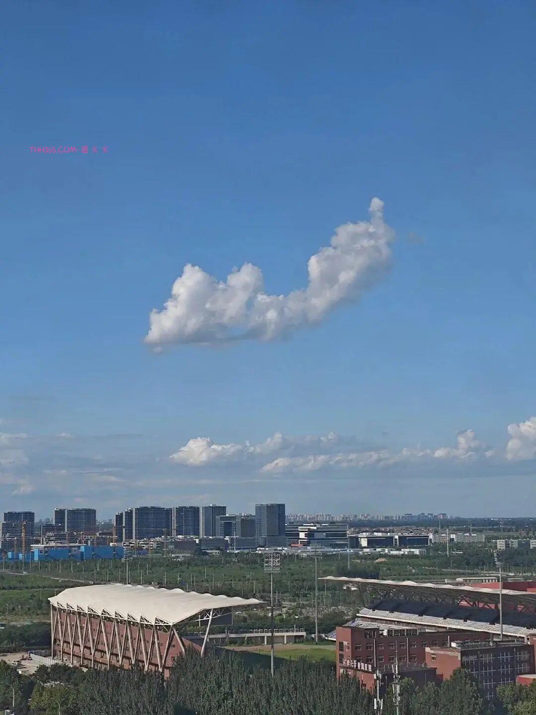 巧合界的天花板:20张照片太离谱,现实都编不出这样的剧本插图1 巧合界的天花板:20张照片太离谱,现实都编不出这样的剧本插图1