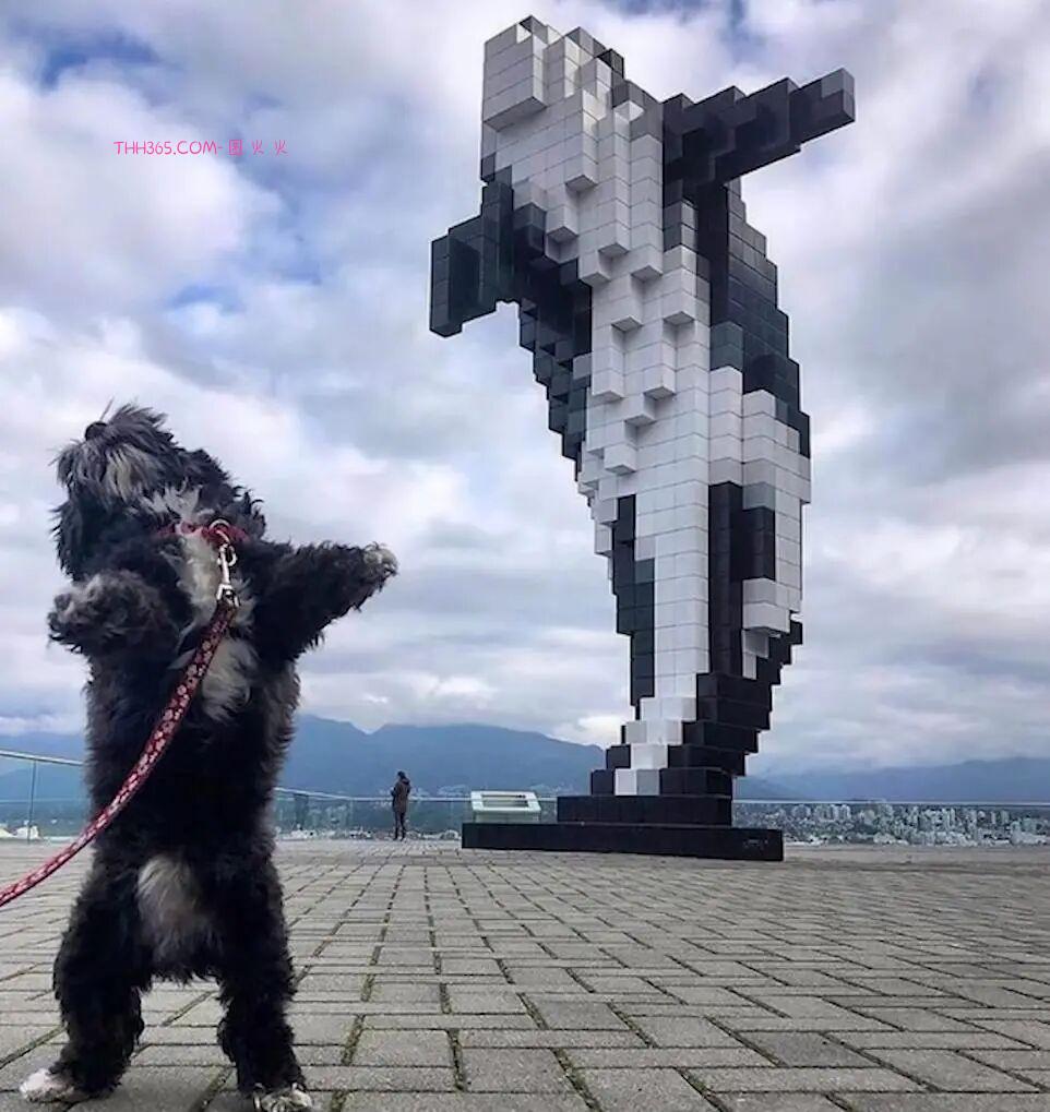 巧合界的天花板:20张照片太离谱,现实都编不出这样的剧本插图5 巧合界的天花板:20张照片太离谱,现实都编不出这样的剧本插图5