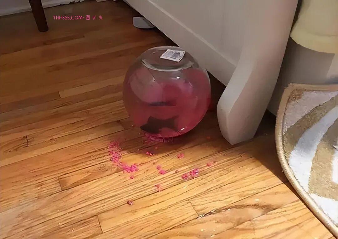 巧合界的天花板:20张照片太离谱,现实都编不出这样的剧本插图3 巧合界的天花板:20张照片太离谱,现实都编不出这样的剧本插图3