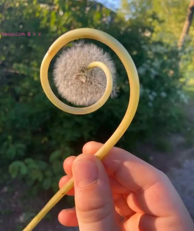 巧合界的天花板:20张照片太离谱,现实都编不出这样的剧本插图2 巧合界的天花板:20张照片太离谱,现实都编不出这样的剧本插图2