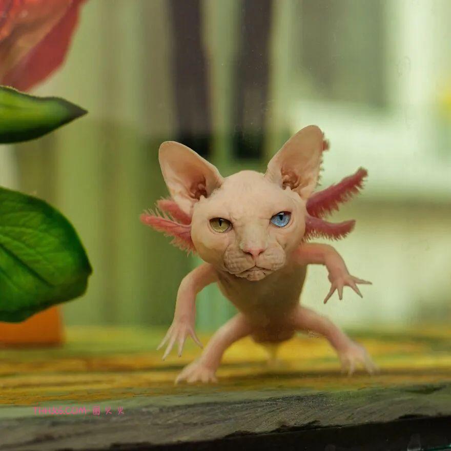 太有趣了!16幅异想天开的混搭动物,越看越有意思插图11 太有趣了!16幅异想天开的混搭动物,越看越有意思插图11