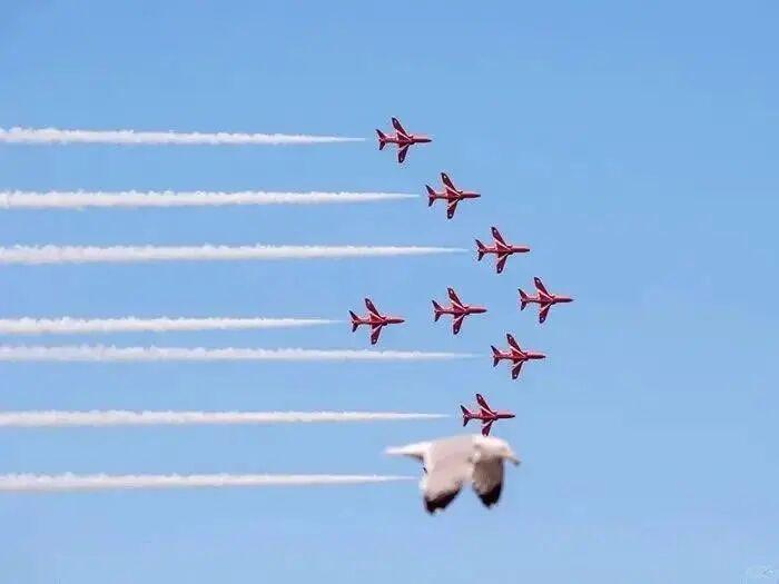 20张巧得离谱的照片:生活这导演,真是会安排插图6 20张巧得离谱的照片:生活这导演,真是会安排插图6