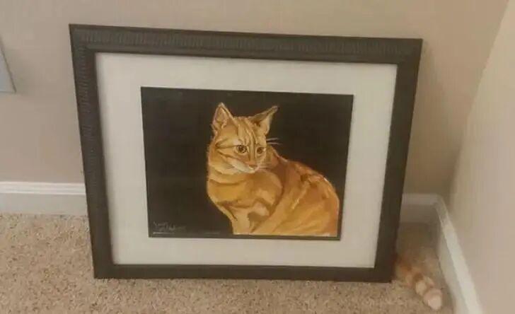 20张巧得离谱的照片:生活这导演,真是会安排插图5 20张巧得离谱的照片:生活这导演,真是会安排插图5