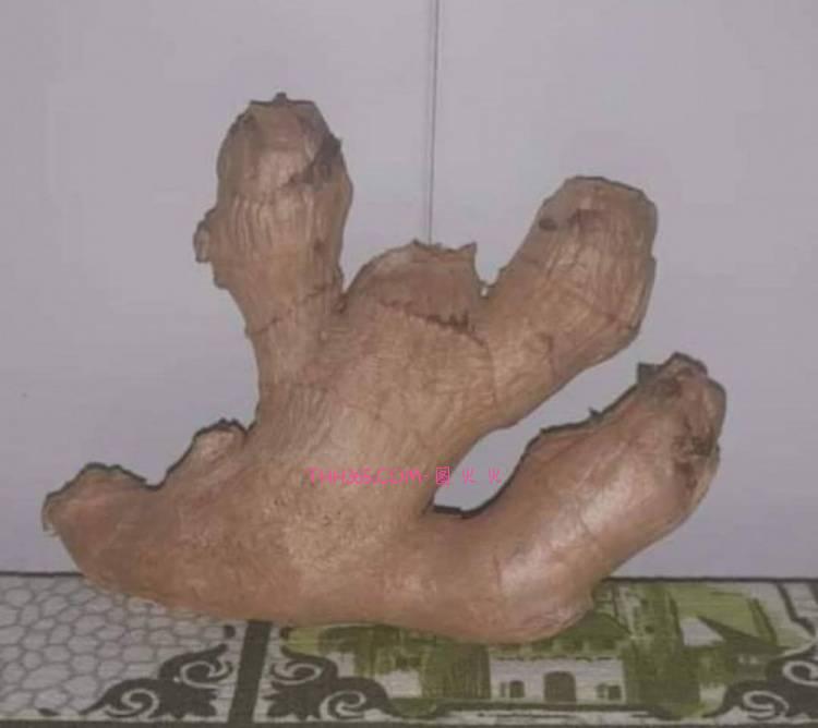 今日趣图:奥纳纳机票不慎脱手无法登机,租借土超交易取消!插图16 今日趣图:奥纳纳机票不慎脱手无法登机,租借土超交易取消!插图16