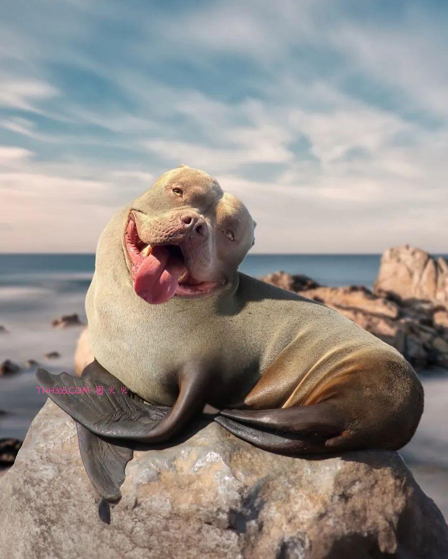 太有趣了!16幅异想天开的混搭动物,越看越有意思插图 太有趣了!16幅异想天开的混搭动物,越看越有意思插图