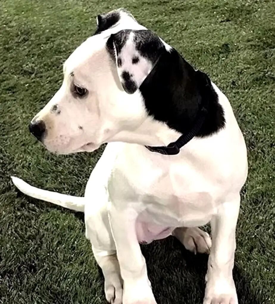 20张巧得离谱的照片:生活这导演,真是会安排插图16 20张巧得离谱的照片:生活这导演,真是会安排插图16