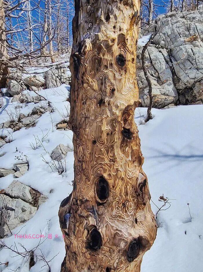 30张让人又敬畏又害怕的自然瞬间:风暴、火山、闪电,全是地球的“怒吼”插图9 30张让人又敬畏又害怕的自然瞬间:风暴、火山、闪电,全是地球的“怒吼”插图9