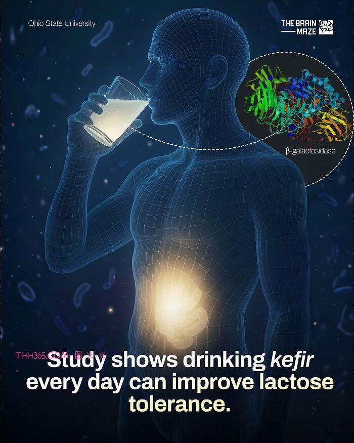 身体这台机器,比你想的聪明又脆弱:10个科学揭开的健康真相插图6 身体这台机器,比你想的聪明又脆弱:10个科学揭开的健康真相插图6