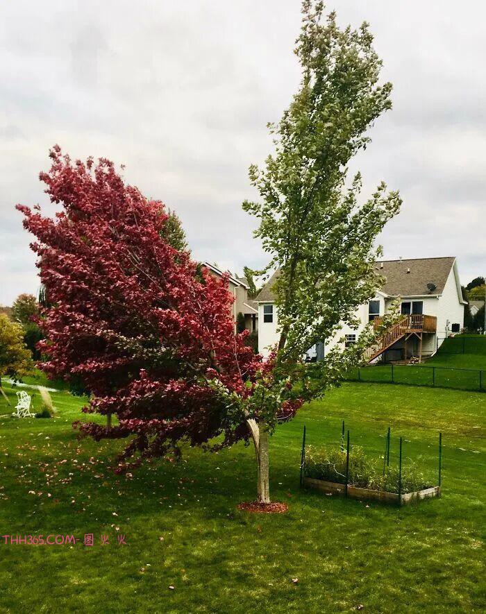 30张让人又敬畏又害怕的自然瞬间:风暴、火山、闪电,全是地球的“怒吼”插图8 30张让人又敬畏又害怕的自然瞬间:风暴、火山、闪电,全是地球的“怒吼”插图8