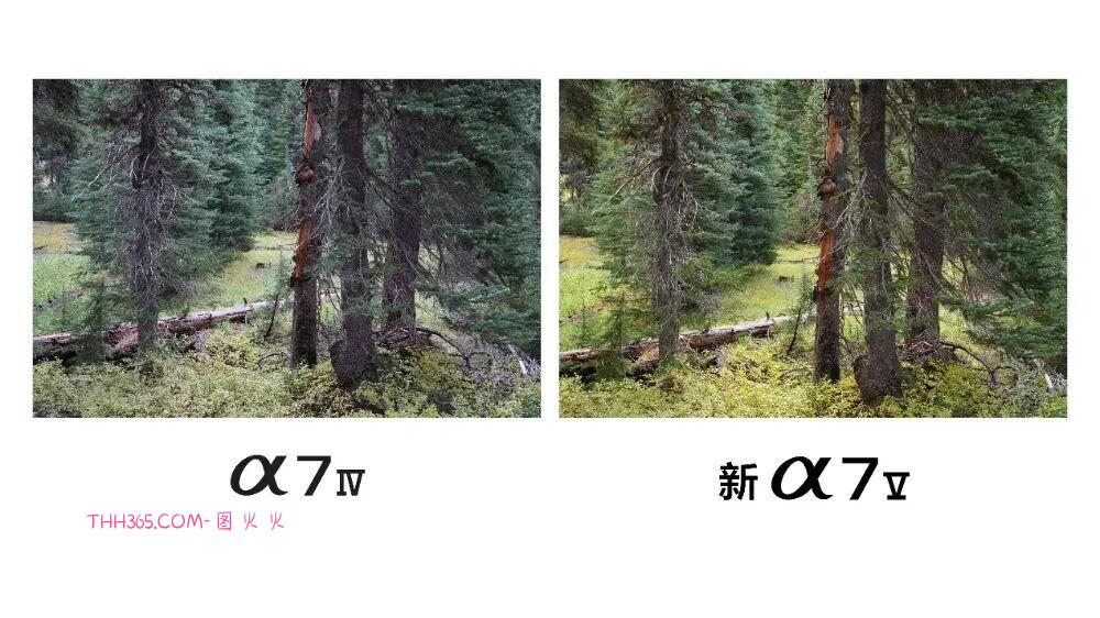 17999元!索尼发布全画幅微单新基准Alpha 7 V插图8 17999元!索尼发布全画幅微单新基准Alpha 7 V插图8