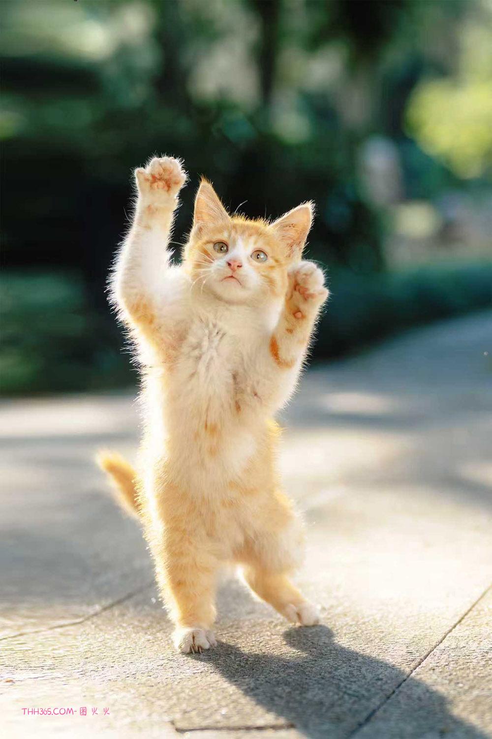 晒出年度影像答卷 尼康2025影像征集活动携重磅好礼启幕插图 晒出年度影像答卷 尼康2025影像征集活动携重磅好礼启幕插图