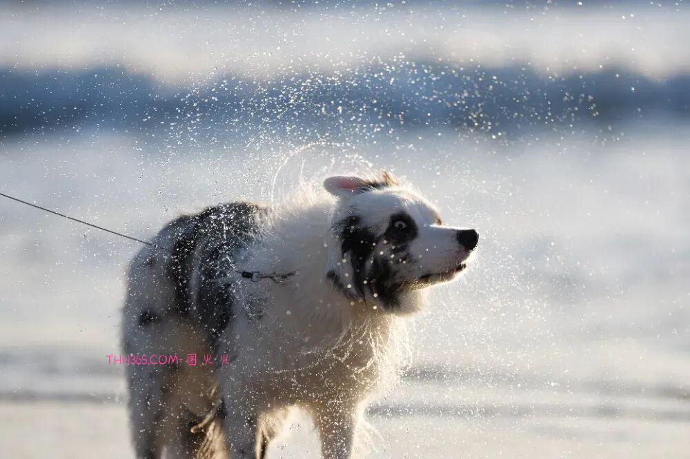 17999元!索尼发布全画幅微单新基准Alpha 7 V插图11 17999元!索尼发布全画幅微单新基准Alpha 7 V插图11