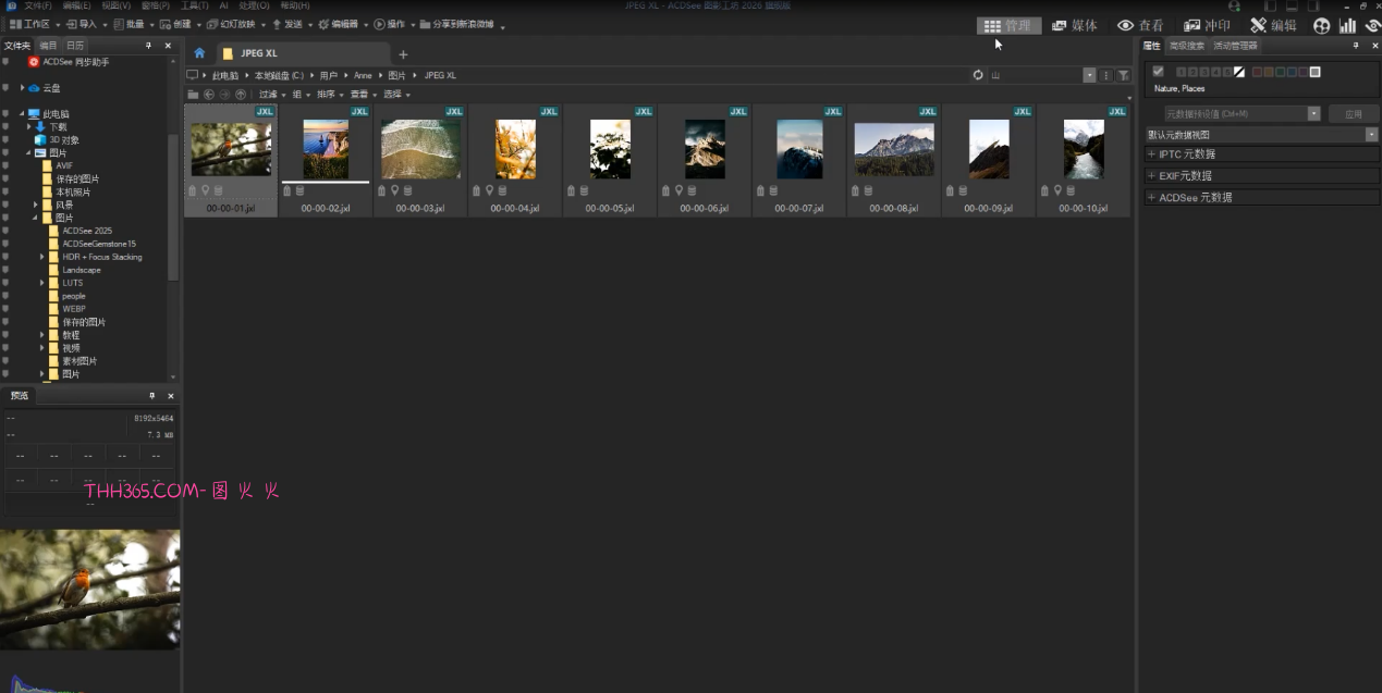 ACDSee 图影工坊 2026全新发布:AI 驱动数字视觉工作流革新插图4 ACDSee 图影工坊 2026全新发布:AI 驱动数字视觉工作流革新插图4