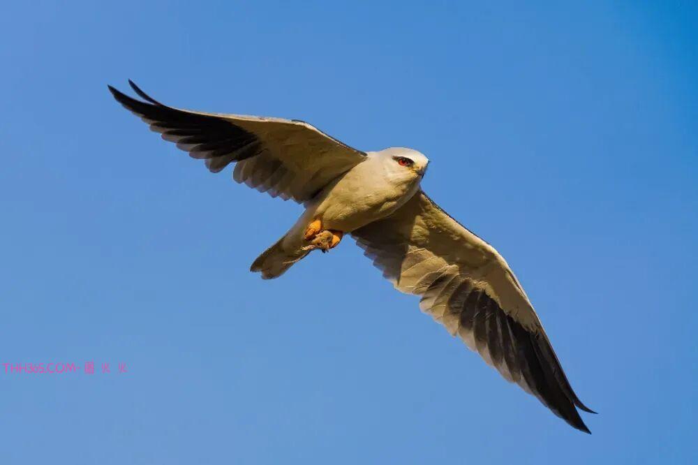 17999元!索尼发布全画幅微单新基准Alpha 7 V插图10 17999元!索尼发布全画幅微单新基准Alpha 7 V插图10