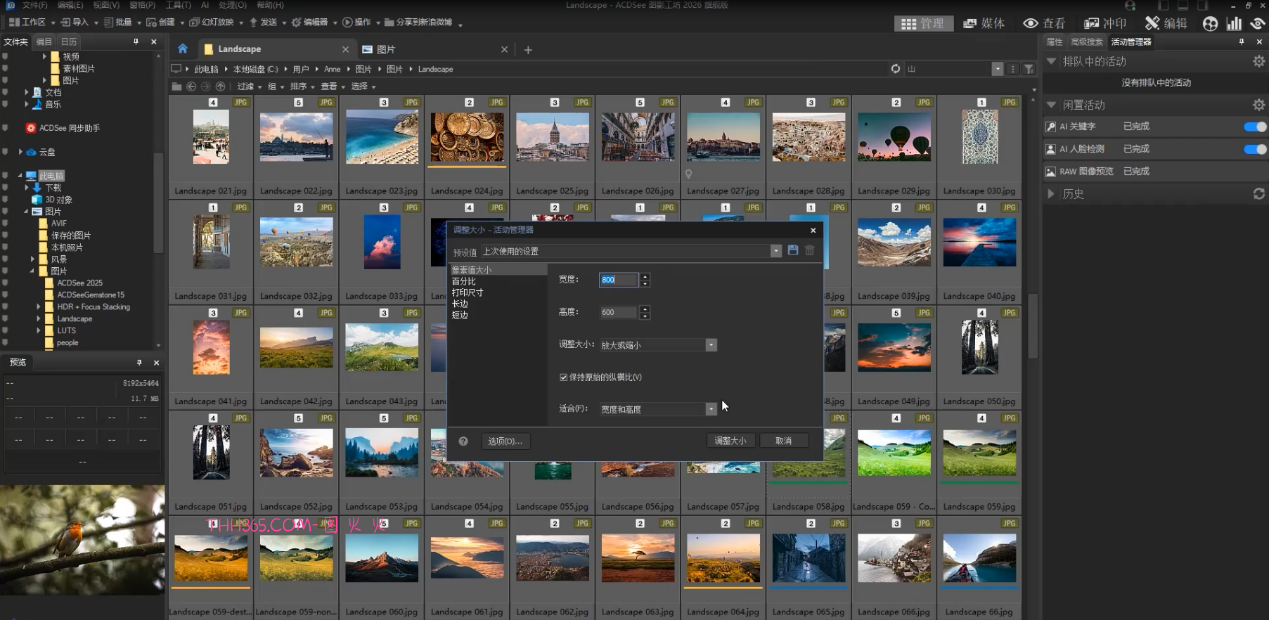 ACDSee 图影工坊 2026全新发布:AI 驱动数字视觉工作流革新插图3 ACDSee 图影工坊 2026全新发布:AI 驱动数字视觉工作流革新插图3