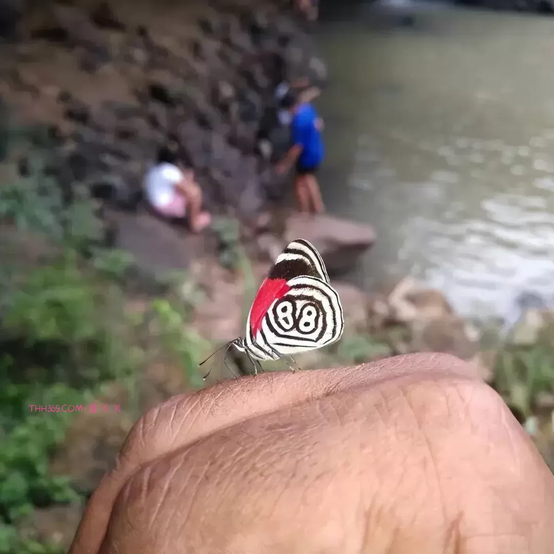 谁说生活无聊?24个治愈细节曝光!插图21 谁说生活无聊?24个治愈细节曝光!插图21