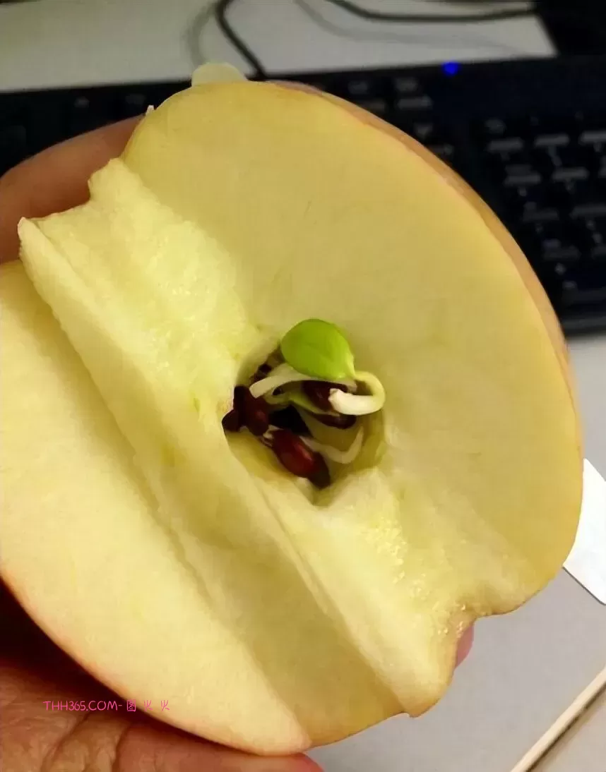 谁说生活无聊?24个治愈细节曝光!插图20 谁说生活无聊?24个治愈细节曝光!插图20