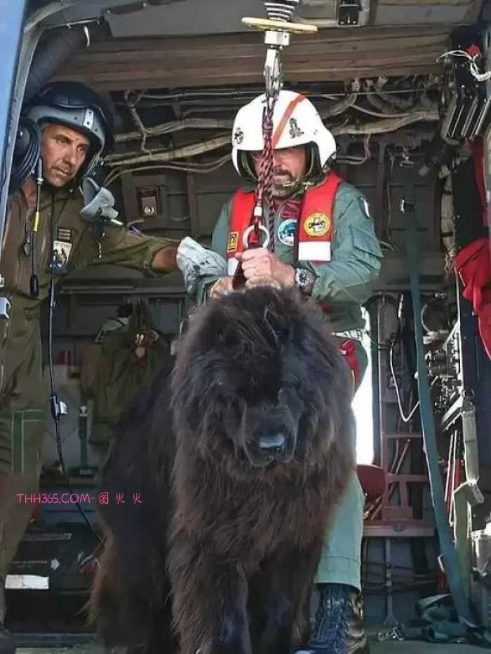 18个不可思议的事实:这个世界,比你以为的还精彩插图2 18个不可思议的事实:这个世界,比你以为的还精彩插图2