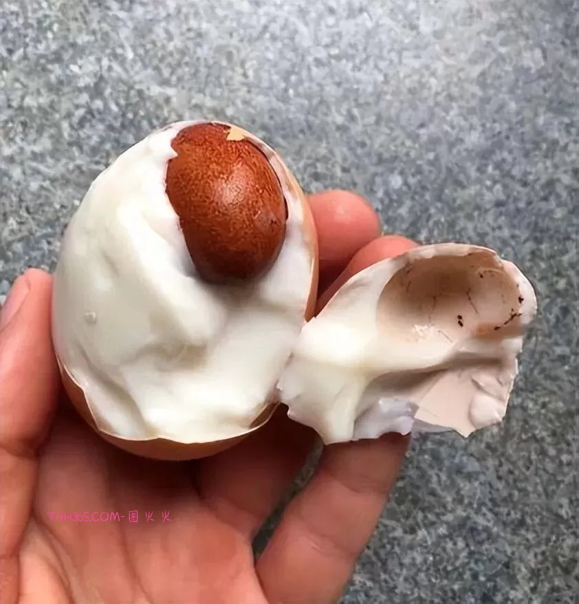 谁说生活无聊?24个治愈细节曝光!插图19 谁说生活无聊?24个治愈细节曝光!插图19