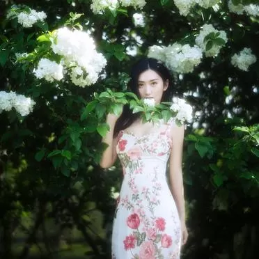 怎么拍出这种微微发光的片子?插图2 怎么拍出这种微微发光的片子?插图2