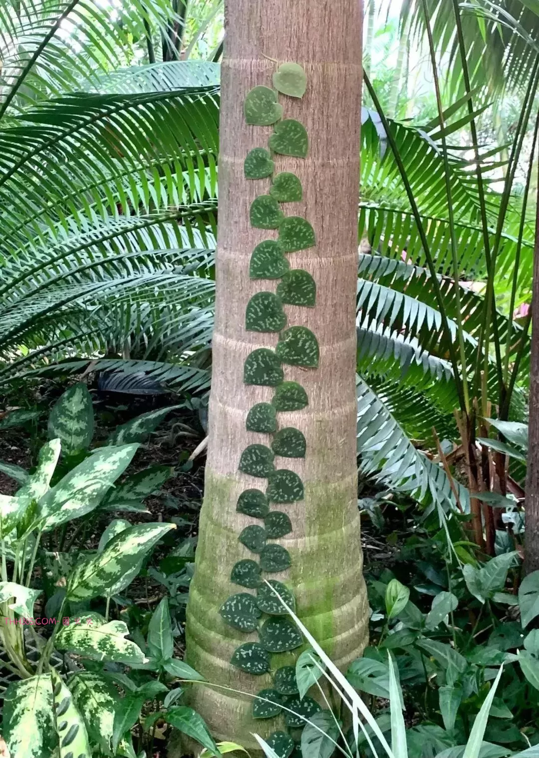 谁说生活无聊?24个治愈细节曝光!插图5 谁说生活无聊?24个治愈细节曝光!插图5