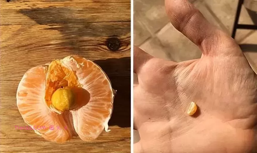 谁说生活无聊?24个治愈细节曝光!插图13 谁说生活无聊?24个治愈细节曝光!插图13