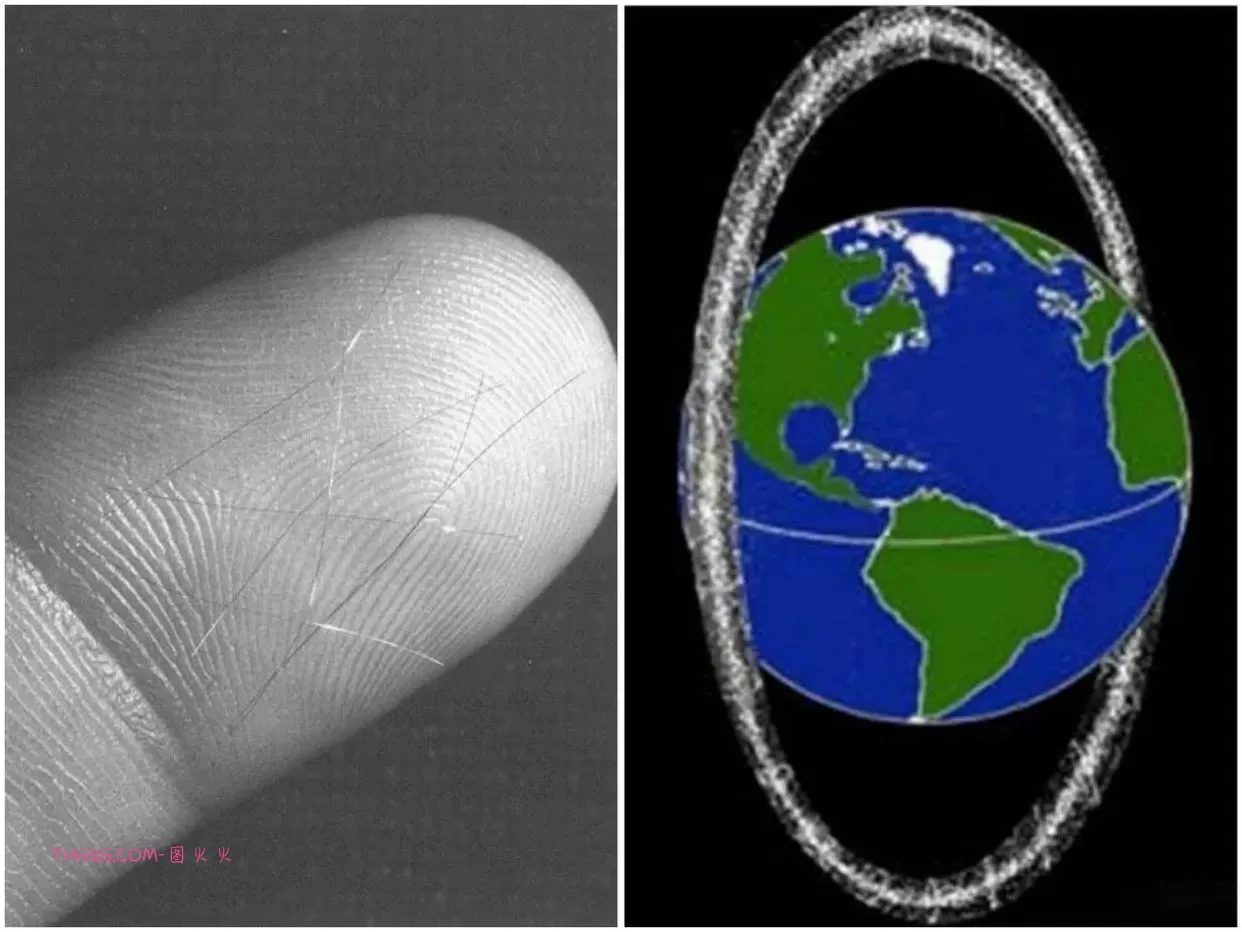 刷新认知的14件真事:是真的,不是段子!插图 刷新认知的14件真事:是真的,不是段子!插图