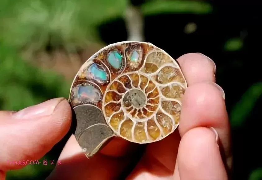 谁说生活无聊?24个治愈细节曝光!插图15 谁说生活无聊?24个治愈细节曝光!插图15