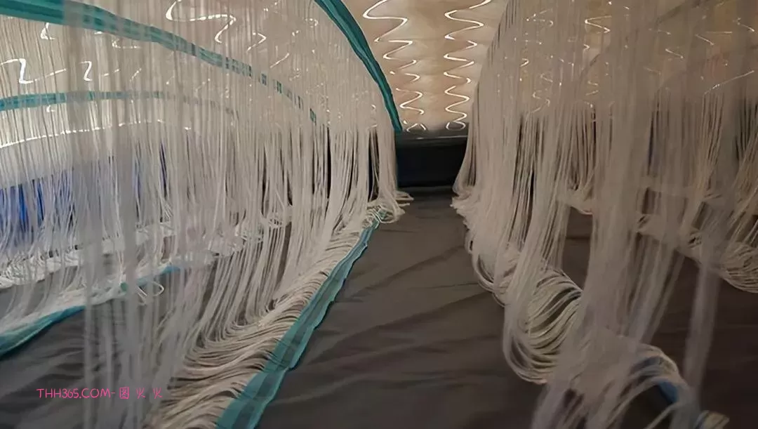 万万没想到!18个看起来普通的东西,里面居然藏着这些秘密!插图4 万万没想到!18个看起来普通的东西,里面居然藏着这些秘密!插图4