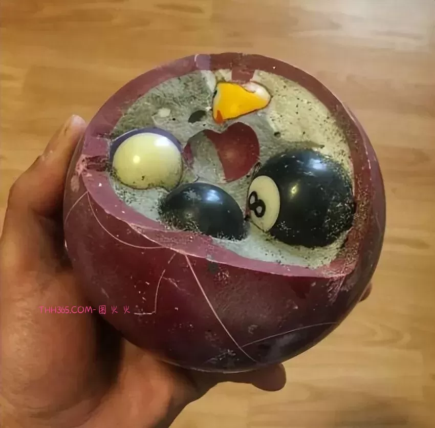 谁说生活无聊?24个治愈细节曝光!插图18 谁说生活无聊?24个治愈细节曝光!插图18