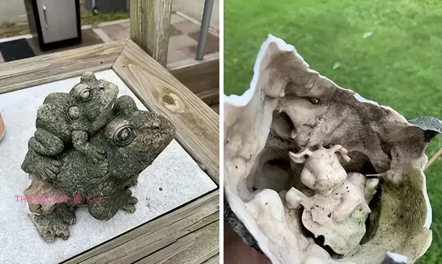 谁说生活无聊?24个治愈细节曝光!插图16 谁说生活无聊?24个治愈细节曝光!插图16