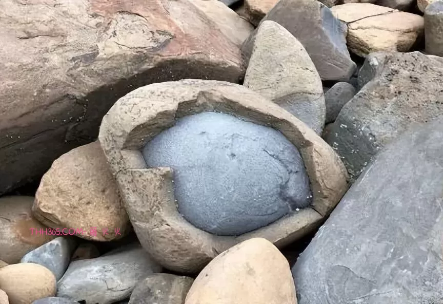 谁说生活无聊?24个治愈细节曝光!插图17 谁说生活无聊?24个治愈细节曝光!插图17