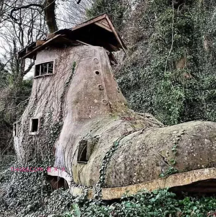 15个“看似没用但超有意思”的发现,刷新你对世界的认知插图9 15个“看似没用但超有意思”的发现,刷新你对世界的认知插图9