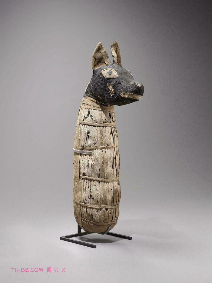 “未被触及的陵墓”:这28张埃及历史照片证明古埃及永存插图22 “未被触及的陵墓”:这28张埃及历史照片证明古埃及永存插图22