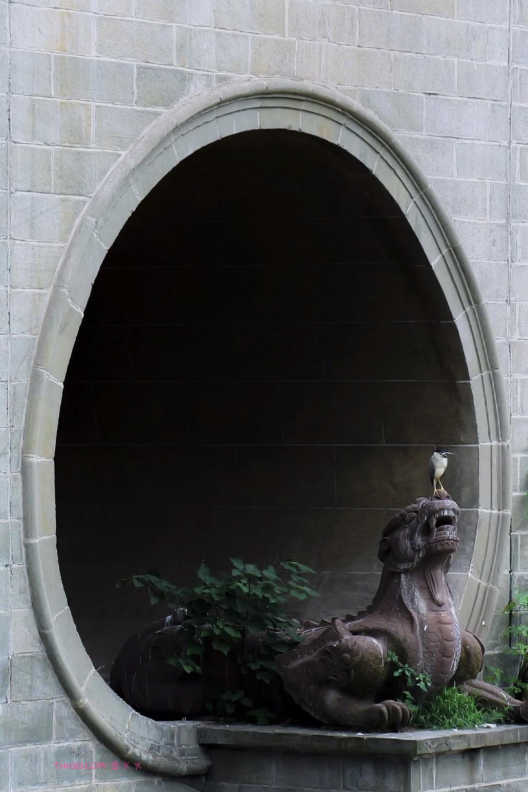 带上G9M2 | 不带负担，只带瞬间插图12