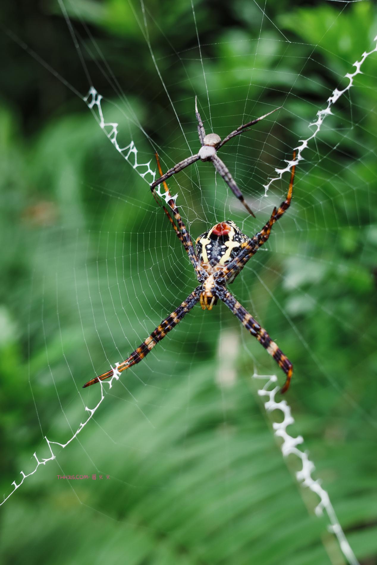 带上G9M2 | 不带负担，只带瞬间插图11