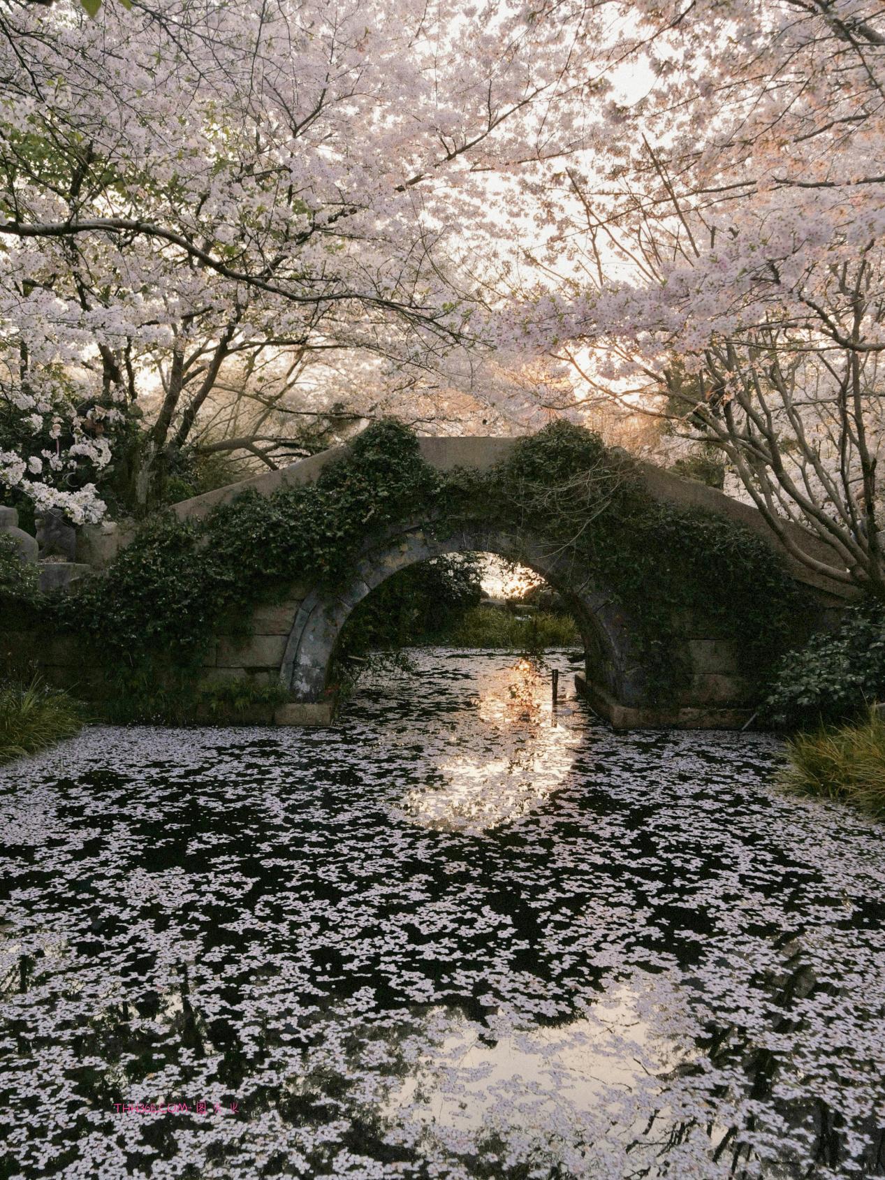 带上G9M2 | 不带负担，只带瞬间插图20