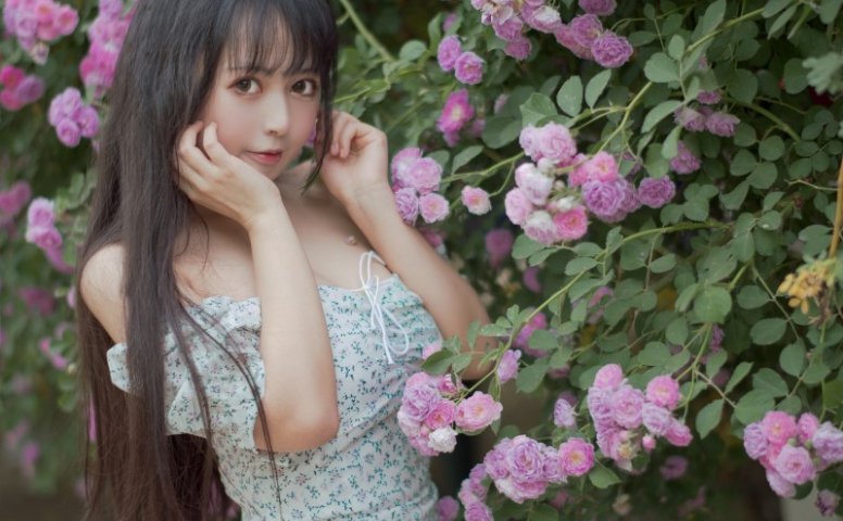 知名动漫博主@黑猫猫OvO – 蔷薇2 [27P/295MB]