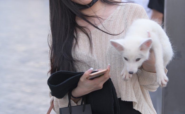 精选街拍作品 NO.1793 红石街拍作品 – 一只白狐[136P/159MB]