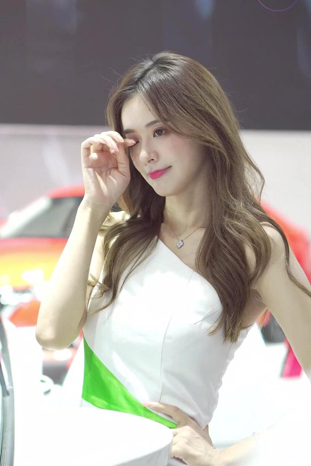 NO.0314 2021 深圳大湾区车展 Racing Model SKODA车模04[1V/487MB]