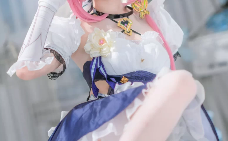 大大卷卷小卷 – 崩坏3 爱莉希雅钕仆[29P/169MB]