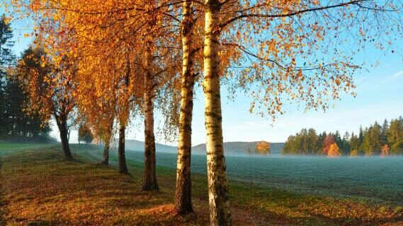 高品质风景图摄影技巧