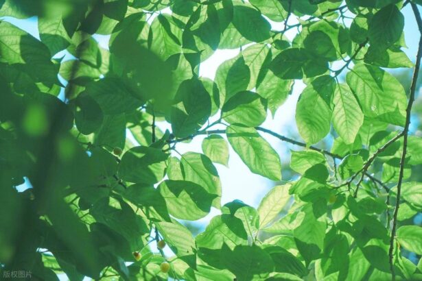 从“乱拍”到“出片”，摄影人的秘密全公开！