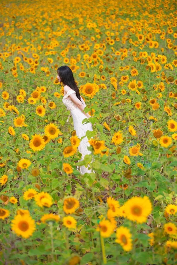 解锁花海人像拍照姿势，简单易学的7个姿势，帮你拍出高质量作品