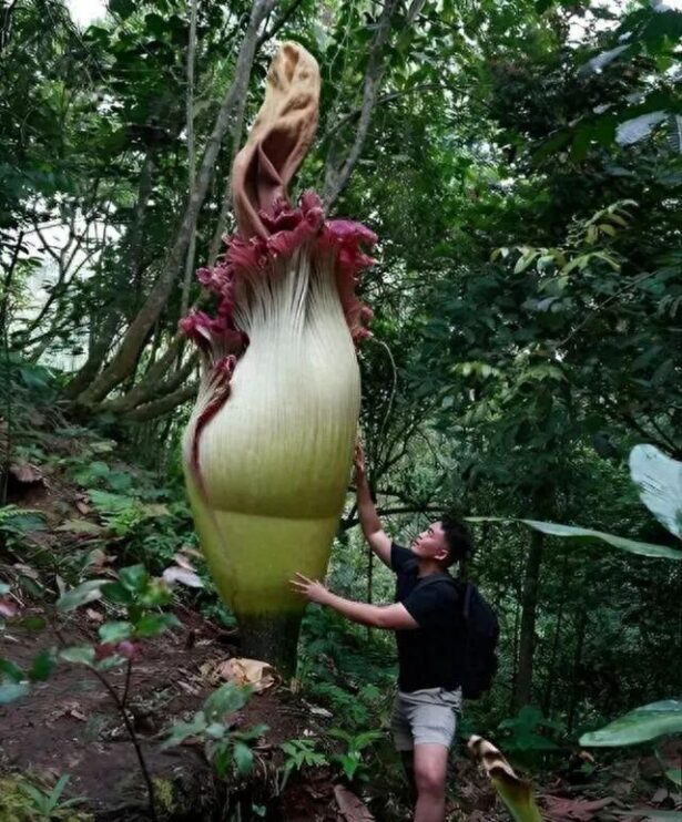 罕见瞬间捕捉：21张让你大开眼界的图片