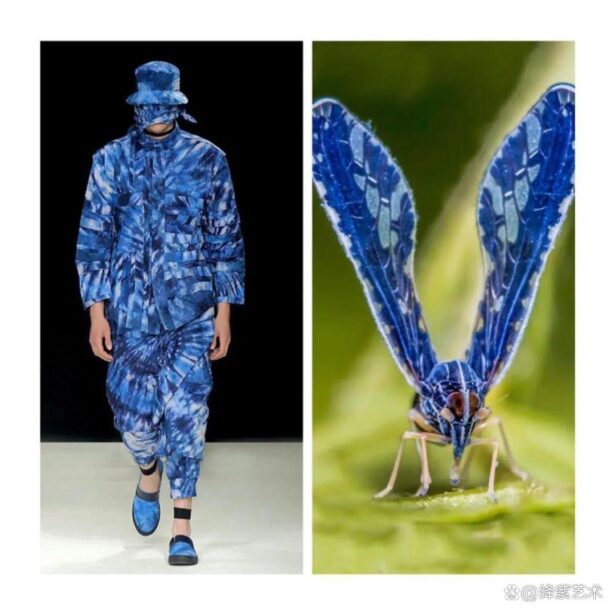 叹为观止！这20个创意服装，原型竟然是虫子、蜥蜴和蘑菇